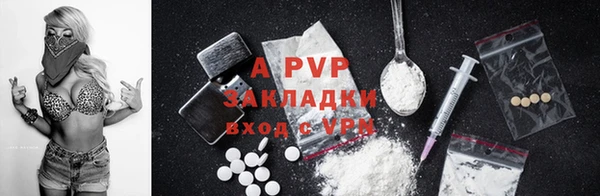 хмурый Покачи