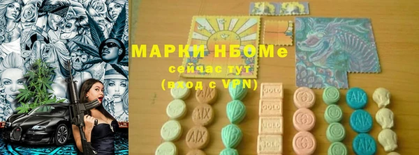 хмурый Покачи