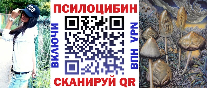 ссылка на мегу зеркало  где купить наркоту  Аксай  Галлюциногенные грибы Psilocybine cubensis 
