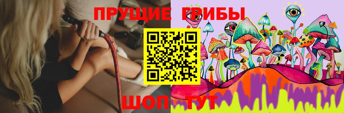 Псилоцибиновые грибы GOLDEN TEACHER Аксай
